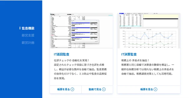 監査業務